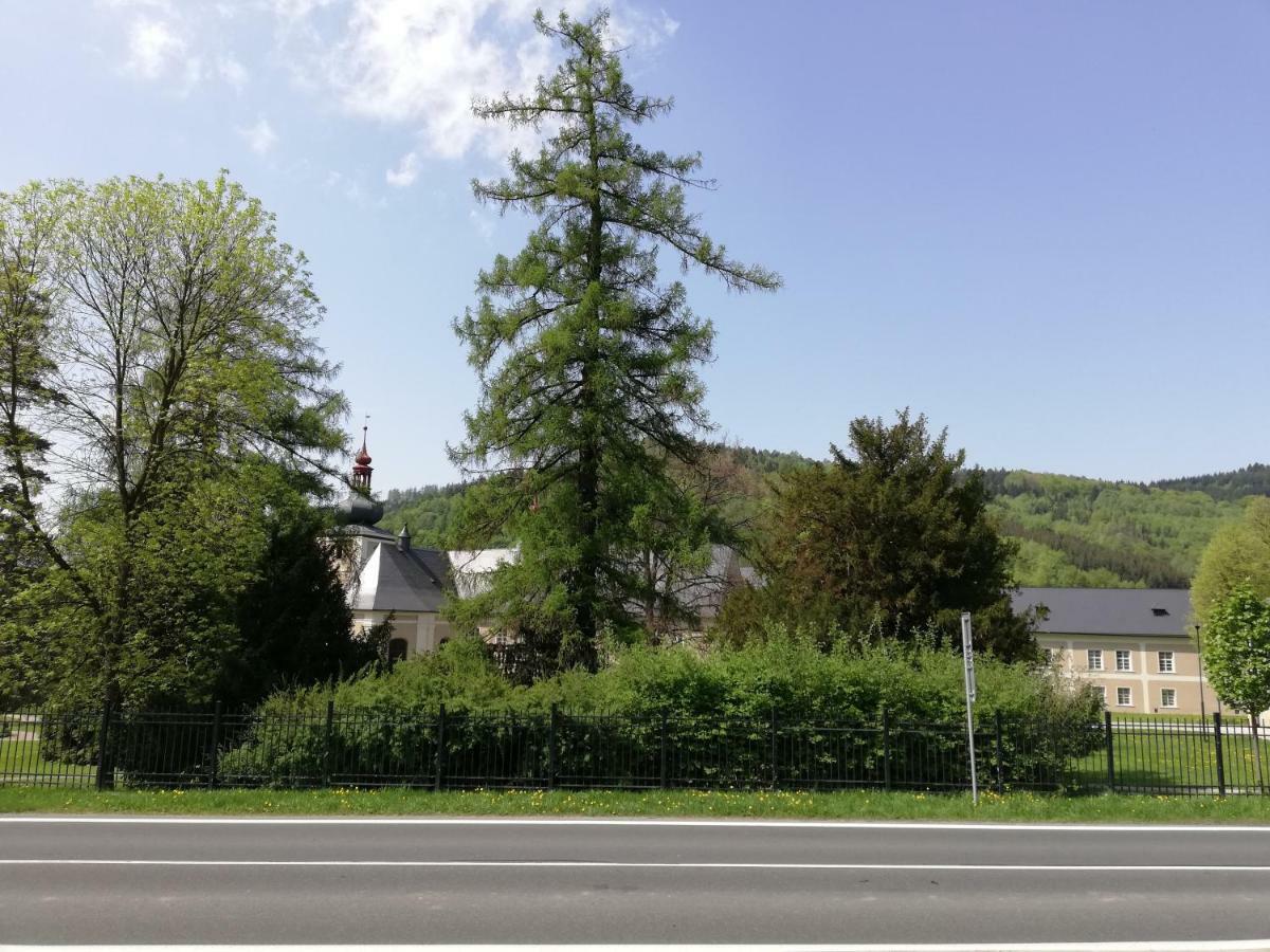 Apartman U Zamku Loučná nad Desnou Exterior foto